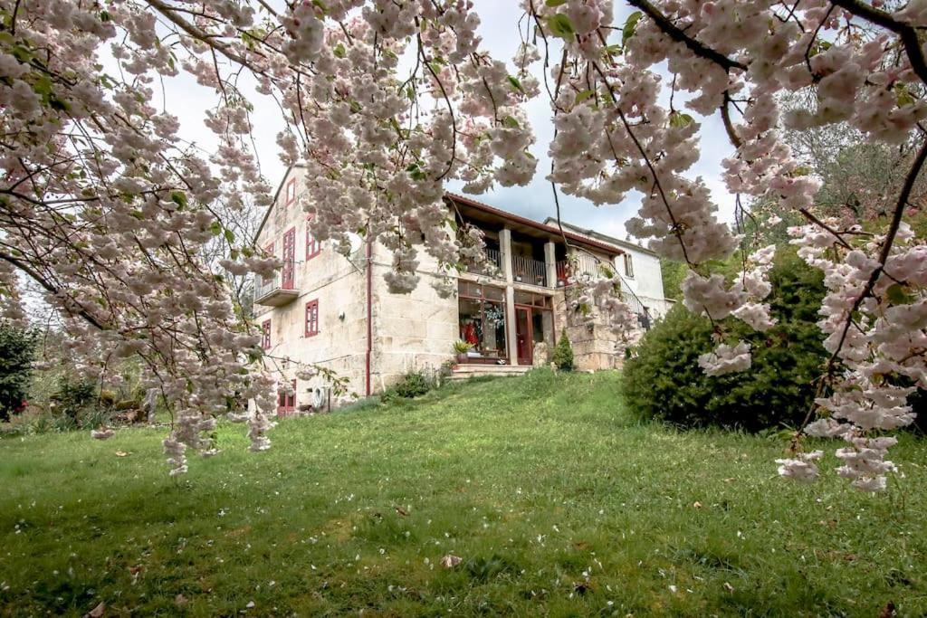 بوينتيارياس A Casa Da Carballa المظهر الخارجي الصورة
